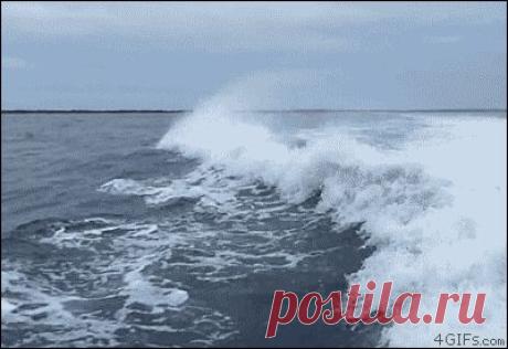 Живые фотографии – Сообщество – Google+