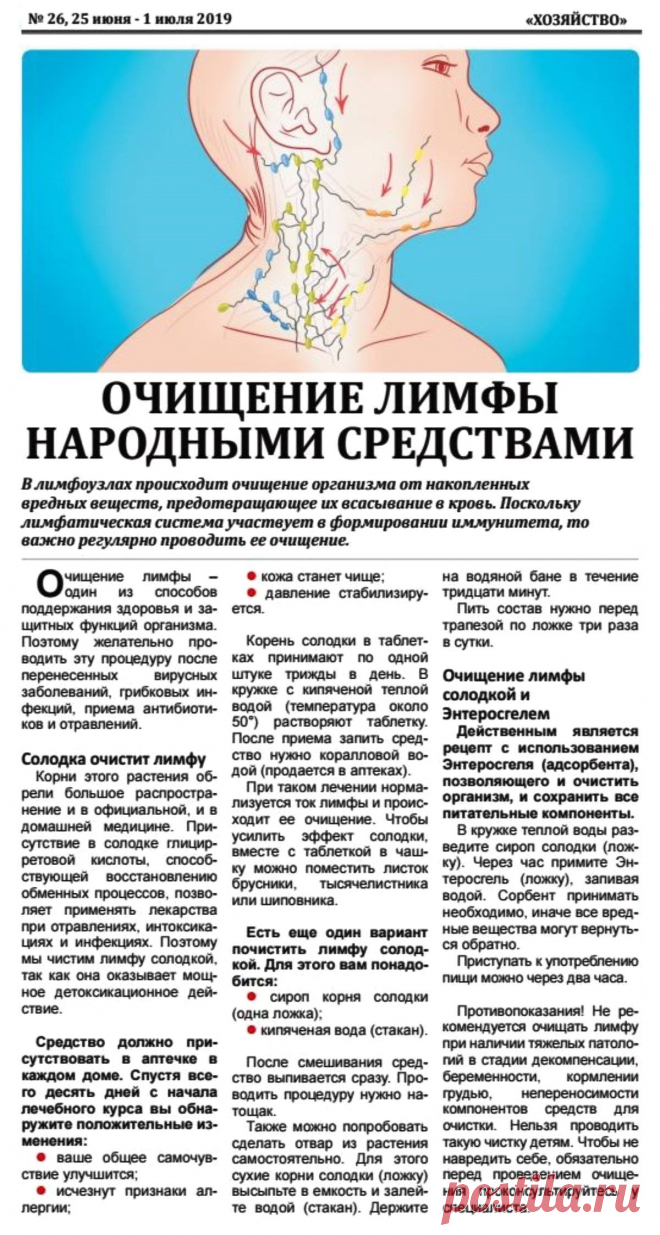 Очищение лимфы народными средствами