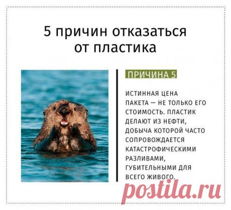 старайтесь постепенно уменьшать использование пластиковых пакетов и бутылок