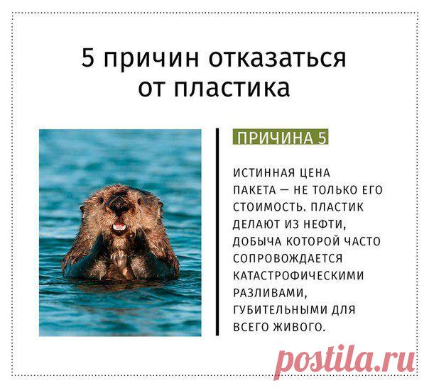 старайтесь постепенно уменьшать использование пластиковых пакетов и бутылок