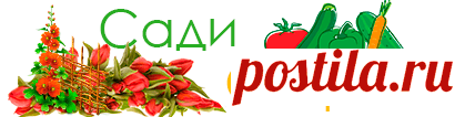 СадиОгород – очень полезный сайт о растениях!