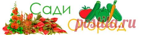 СадиОгород – очень полезный сайт о растениях!