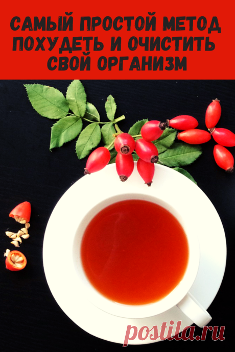 Для вас самый простой метод, позволяющий похудеть и очистить организм. Вам просто необходимо выпивать утром натощак специально приготовленный настой из шиповника и все!