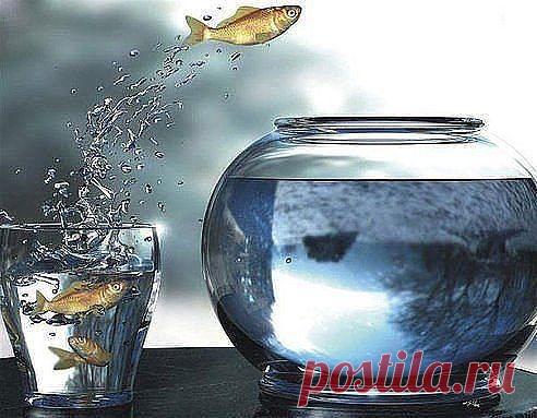 (1) Одноклассники