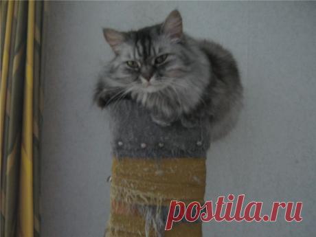 Ее зовут Соня.