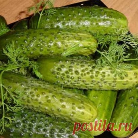 Бабушкины рецепты - малосольные огурцы