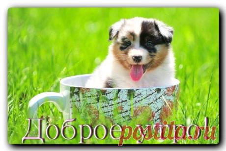 Всем отличного настроения и хорошего дня!!!