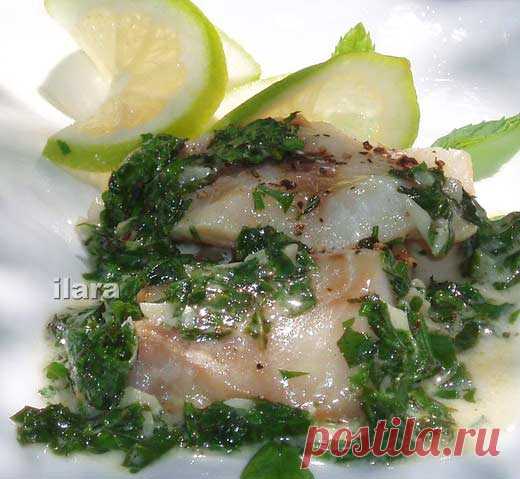Для любителей готовить на скорую рукуПродукты (на 6 порций):6 ломтей филе величиной с ладоньДля соуса:по 1/4 стакана петрушки и кинзы2 ст. л. нарезанных листьев мяты1/2 ч. л. сухого тмина (камун)1 ч.л. толченого чеснока3 ст. л. оливкового...