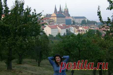 Прогулки по Праге на общественном транспорте и пешком без проф.экскурсий, но с рассказами, показами, фотосессией и ответами на все вопросы - 20 евро/час с чел. либо 100 евро/день за компанию от 2 человек: встреча и проводы к Вам в отель, квитанция об оплате перед выездом на прогулку.