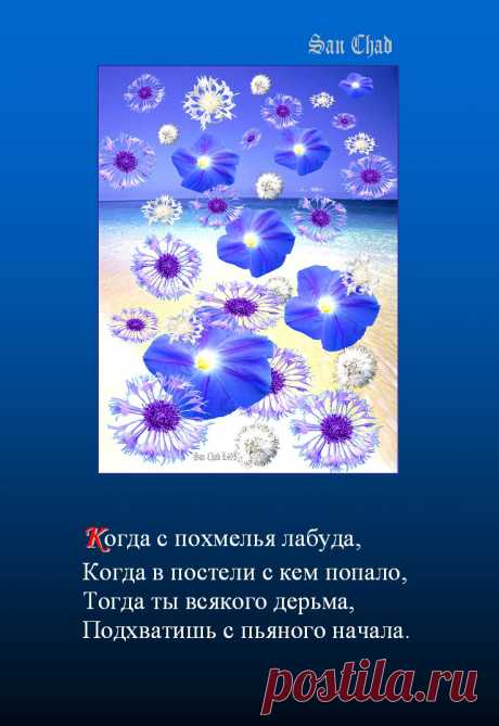 САН ЧАД * ИЗБРАННЫЕ СОФИТЫ – 96 фотографий