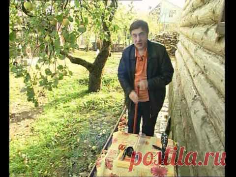 Приспособление для снятия яблок с дерева: 2 варианта плодосъемников своими руками