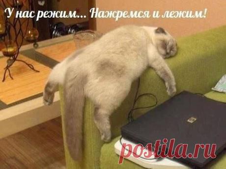 Интересные новости