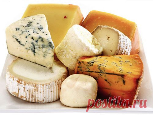 Как приготовить домашний сыр Моцарелла, Филадельфия, Маскарпоне, Янтарь