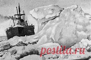 Трагедия, ставшая триумфом. «Челюскин» погиб из-за ошибки Отто Шмидта?