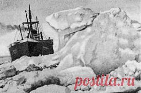 Трагедия, ставшая триумфом. «Челюскин» погиб из-за ошибки Отто Шмидта?