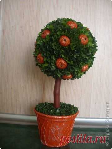 Апельсиновенькое деревцо мини МК | Страна Мастеров