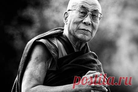 Эмоциональность — это маска глупости
Глупость очень часто надевает эту маску. Глупый человек в ответ на упреки...
Читай дальше на сайте. Жми подробнее ➡