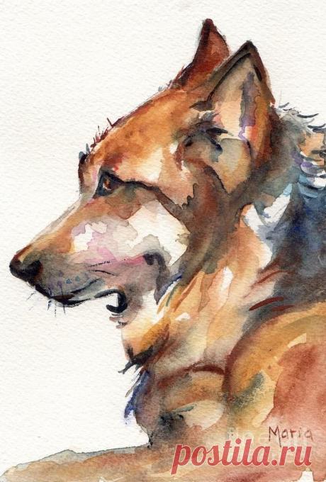 Wolf Painting Watercolor images &amp; pictures - NearPics