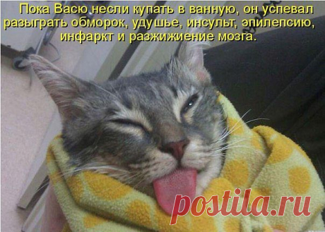 ♔ ЛўपШนξ Çmαmўćы ™ ♔
•●♥Тαмαрα Вαтαмαн ♥●•