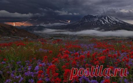 (16) Одноклассники