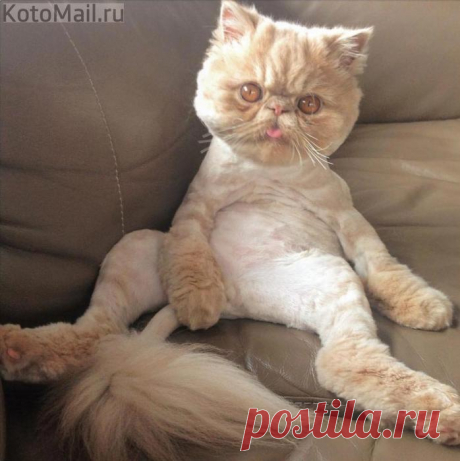 Вдоволь поел