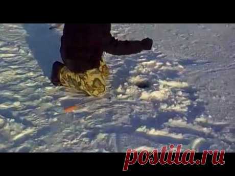 На рыбалке... / Видеохит - лучшее видео интернета