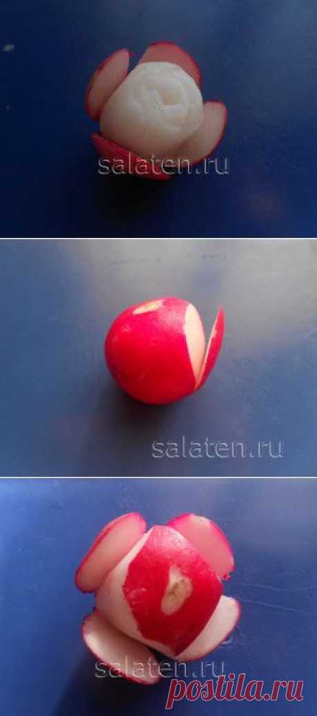 Мастер-класс: украшение из овощей - роза из редиски | Блог Маргариты Сизоновой