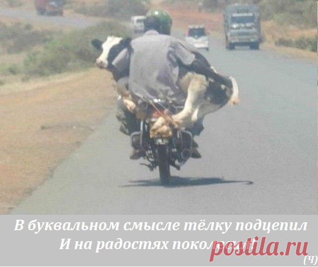 Эмоции вслух / Приколы