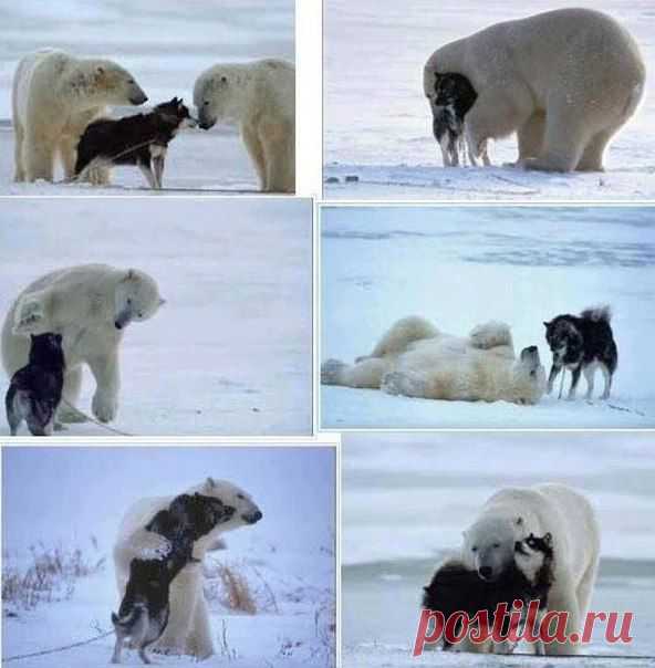 Новости