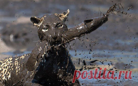 Интересные новости