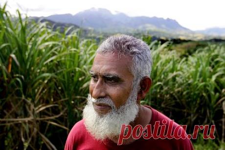 Блогер раскрыл истинное отношение потомков каннибалов на Фиджи к россиянам. Российский путешественник побывал на Фиджи и раскрыл истинное отношение потомков каннибалов на острове к русским. «Нас встретили тепло и дружелюбно, учитывая то, что они являются потомками людоедов — это вдвойне приятно, — отметил он. — Местные жители, как ни странно, отнеслись к нам с большим интересом».