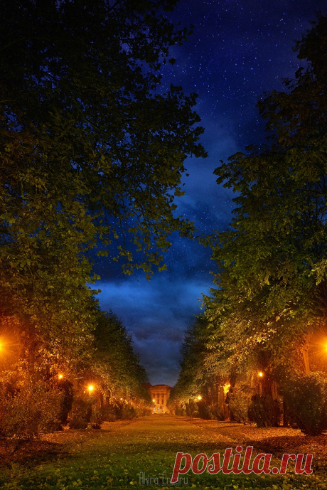 cedorsey:
“ Untitled by Akira Enzeru
Find more like this tagged: street light
”
