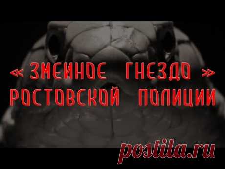 Змеиное гнездо ростовской полиции | Аналитика Юга России
