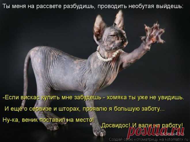 Весёлая "ЗВЕРОКОТОМАТРИЦА"