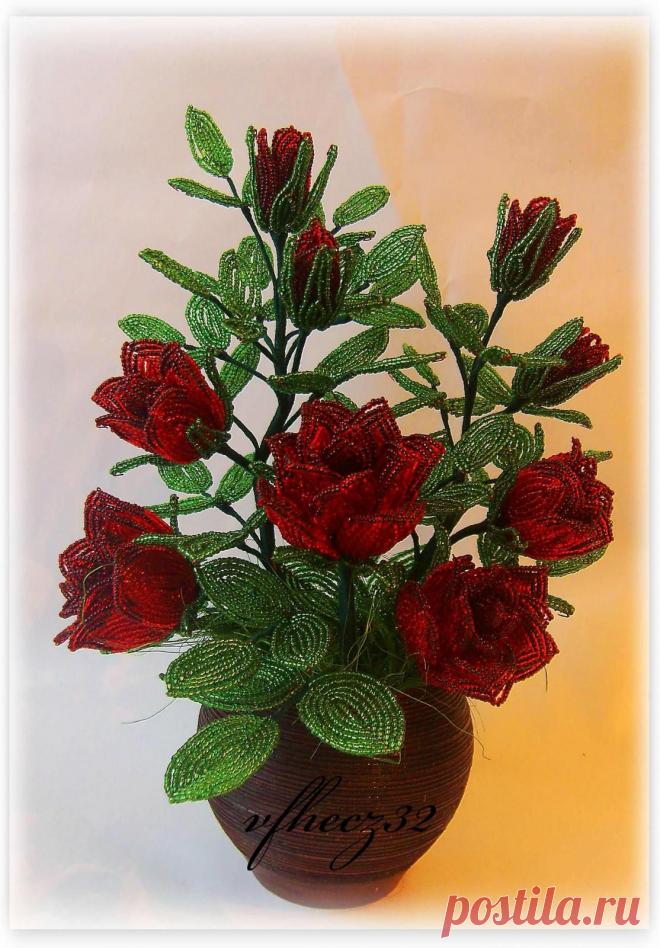 biser.info_45987_roza-kustovaja_1388861817.jpg (1114×1600)