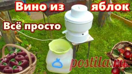 ЯБЛОЧНОЕ ВИНО ✧ Простой рецепт - вино из яблок | Самогонщик Тимофей | Дзен