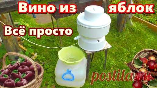 ЯБЛОЧНОЕ ВИНО ✧ Простой рецепт - вино из яблок | Самогонщик Тимофей | Дзен