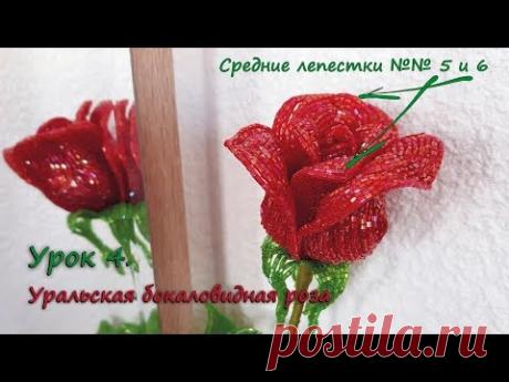 Бокаловидная роза. 🌹 Урок 4 - Средние лепестки 5 и 6 / Cup-shaped rose. Lesson 4 - Middle petals 5&6 (Striped pineapple tube/ Copperplate)
Бокаловидная, или как её еще называют, бокаловидная или ангулоа пурпурная роза - это одна из самых красивых и ярких роз семейства шиповников.
Цветки бокаловидной розы не крупные и не очень плотные, с лёгким ароматом.
Листья у таких роз глянцевые, блестящие, с тёмной каёмкой по краям.