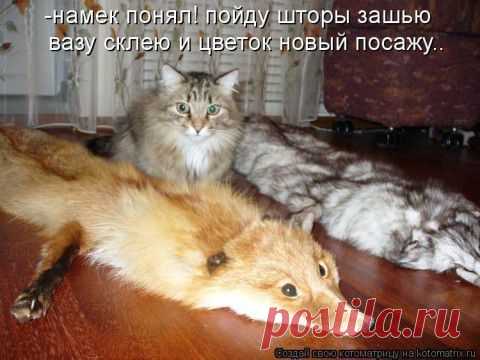 Милые мурлыки | Фотографии Леди Тигр | 528 фото