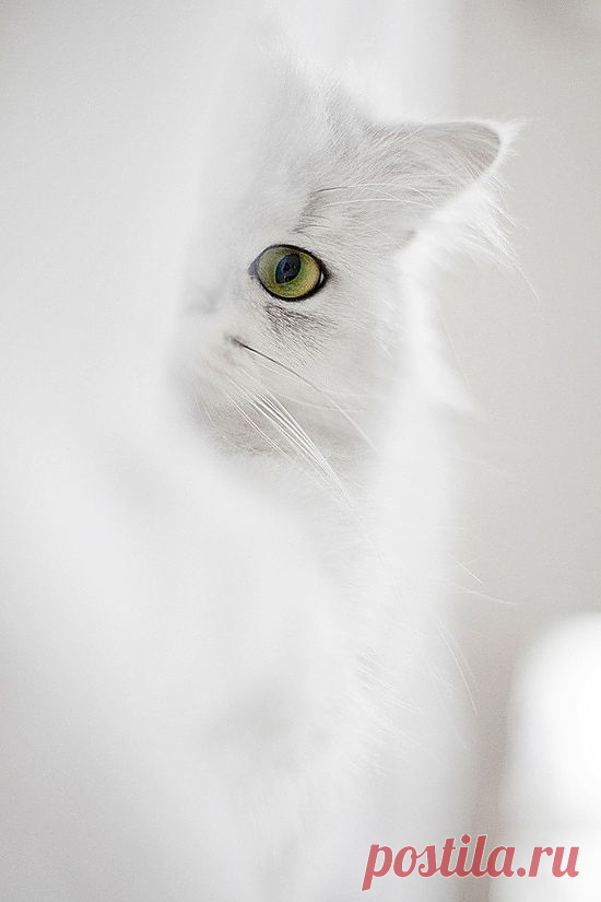 ❤