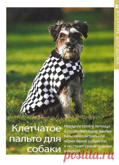 ВЯЗАНИЕ ДЛЯ СОБАК