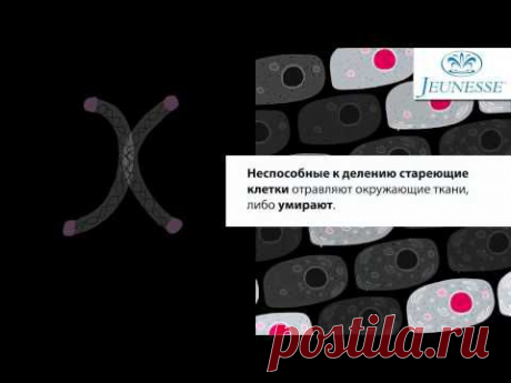 О теломерах и теломеразе Jeunesse Global - YouTube