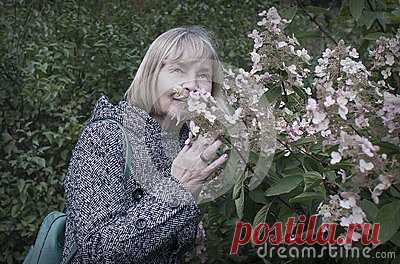 Stock Photos And Royalty-Free Images By Dreamstime