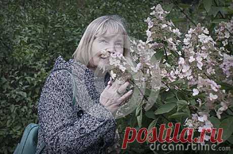 Stock Photos And Royalty-Free Images By Dreamstime