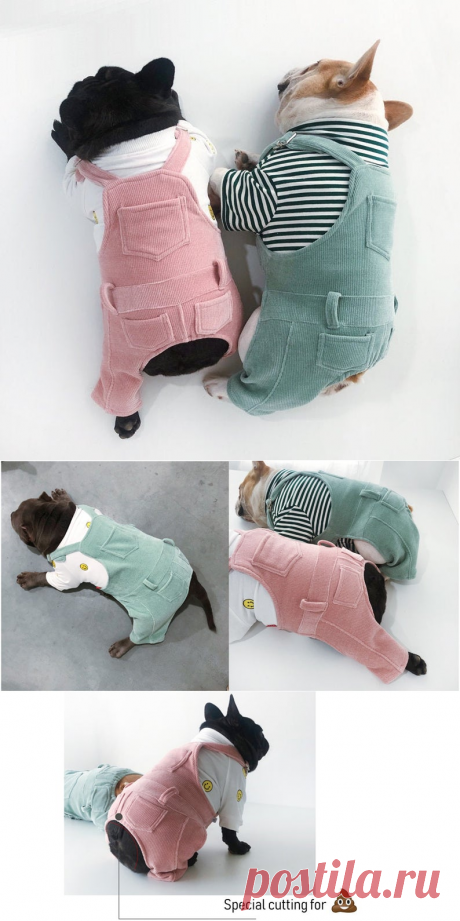 Собака Cat Пастель Цвет Художник Bid Общие Dungarees Конфеты | Etsy
