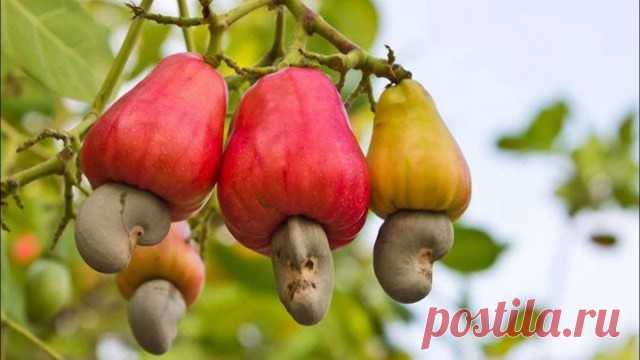 ПолонСил.ру - социальная сеть здоровья