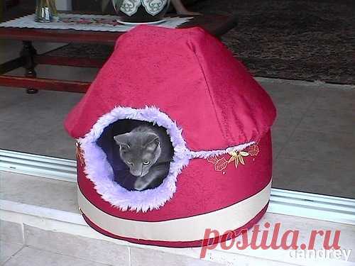 Лежанки для кота своими руками