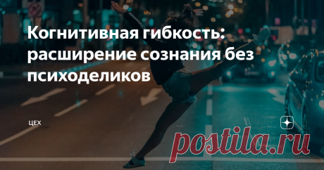 Когнитивная гибкость: расширение сознания без психоделиков Кто такие полиматы и зачем нобелевские лауреты собирают насекомых