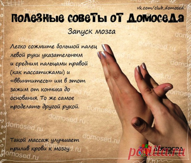 Массаж улучшающий прилив крови к мозгу