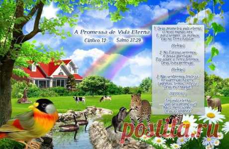 (20+) Facebook